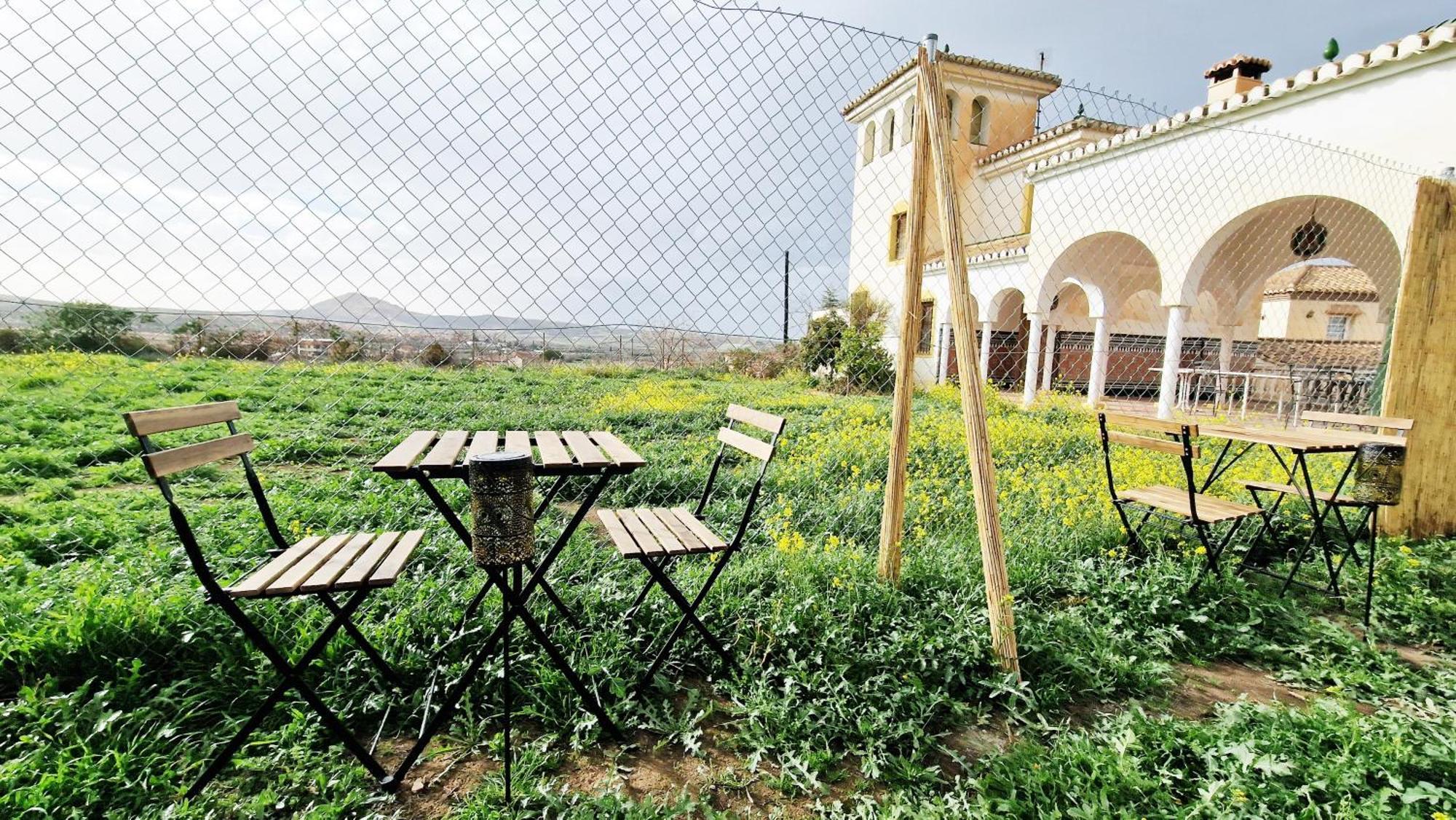 Alhendín Aa Guest - Mulhacen Del Jardin Sierra Nevada 아파트 외부 사진